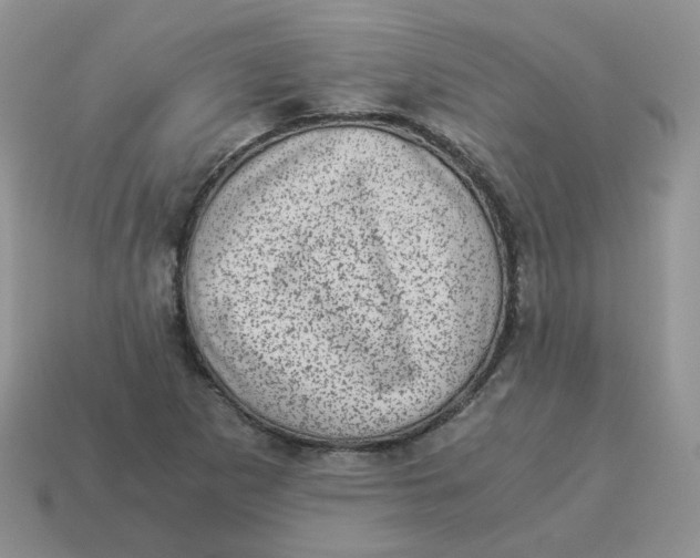 X0000114521265200911091143