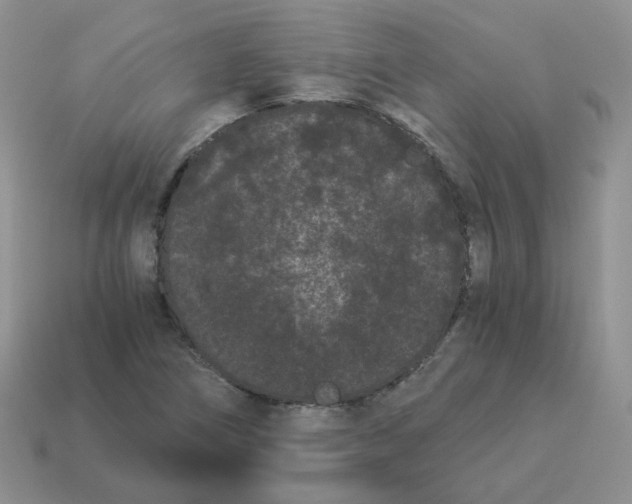 X0000114521266200911091143