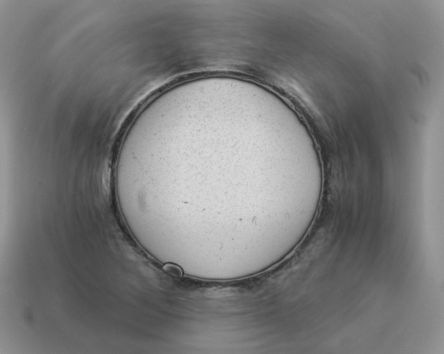 X0000114521268200911091143