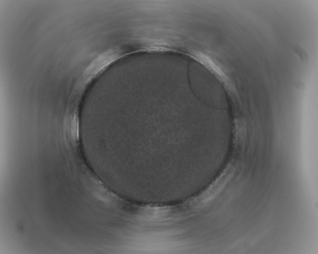 X0000114521269200911091143