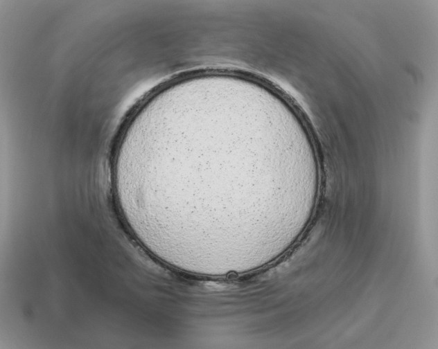 X0000114521271200911091143