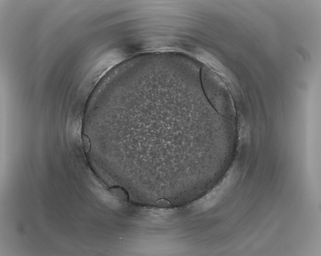 X0000114521273200911091143