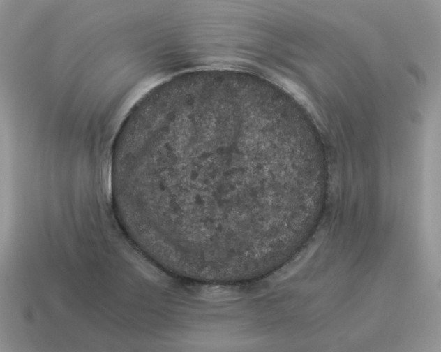 X0000114521275200911091143