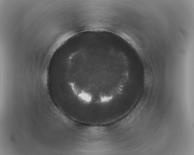 X0000114521277200911091143