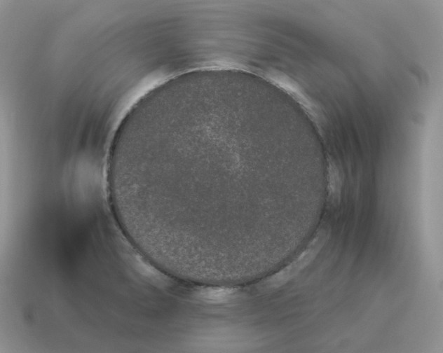 X0000114521278200911091143