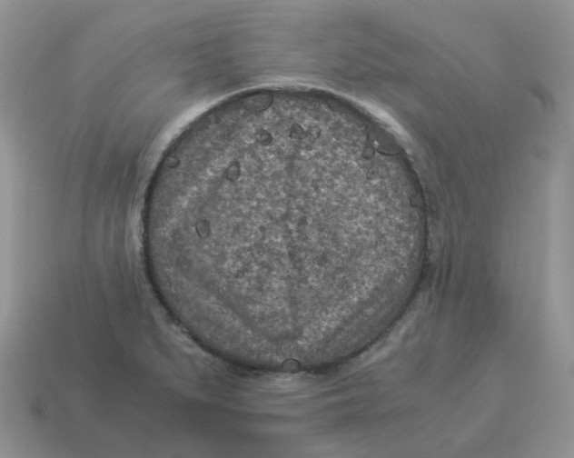 X0000114521279200911091143