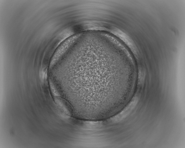 X0000114521281200911091143