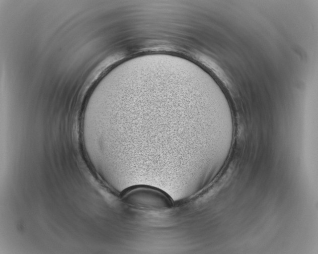 X0000114521282200911091143