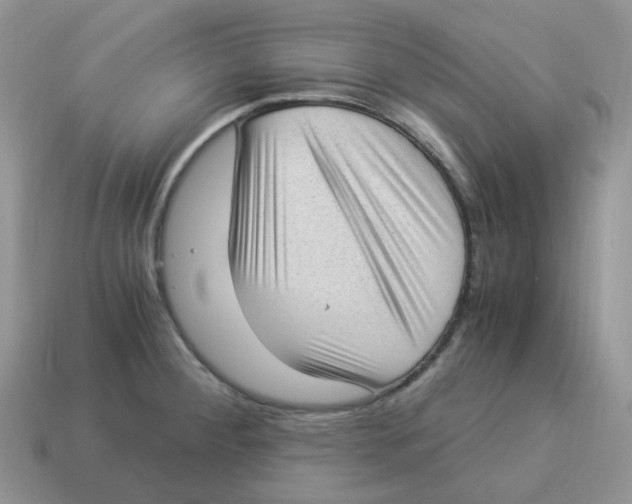 X0000114521284200911091143