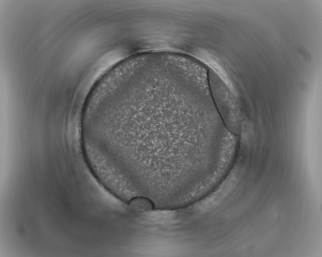 X0000114521285200911091143