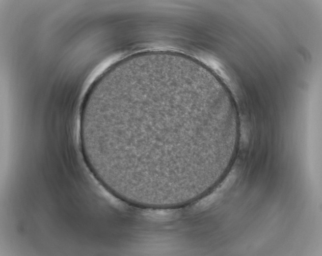 X0000114521286200911091143