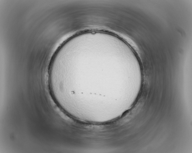 X0000114521287200911091143