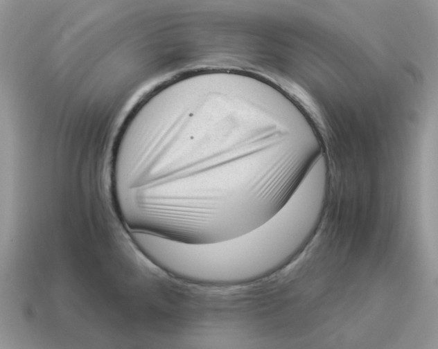 X0000114521288200911091143