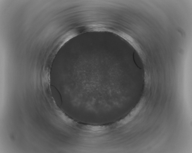 X0000114521289200911091143