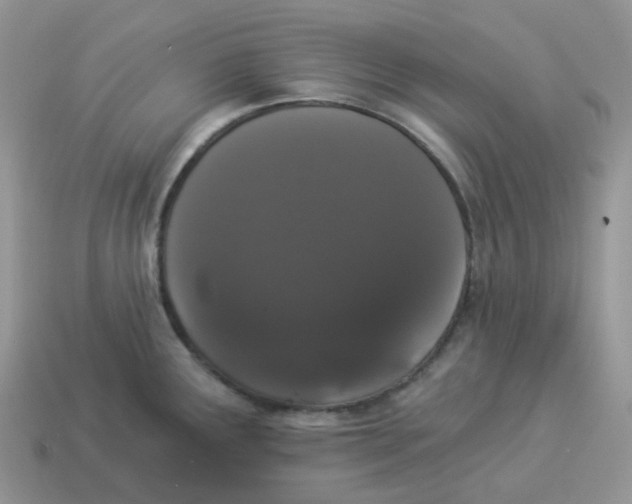 X0000114521291200911091143