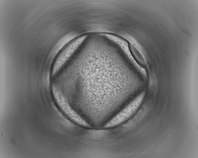 X0000114521293200911091142