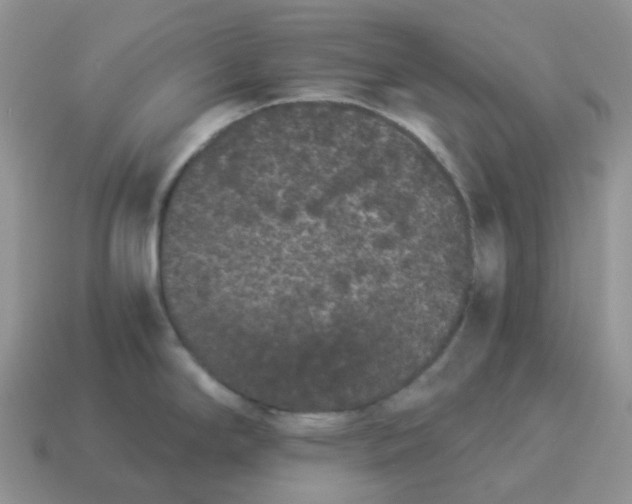 X0000114521294200911091142