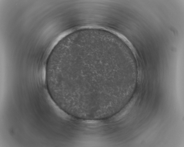 X0000114521295200911091142