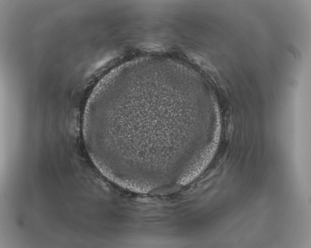 X0000114521301200911091142