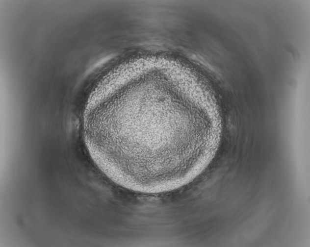 X0000114521302200911091142