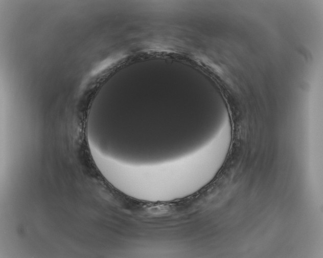 X0000114521303200911091142