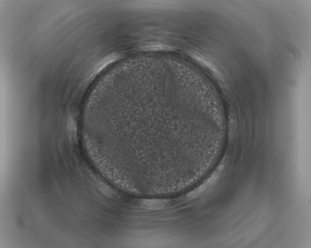 X0000114521305200911091142