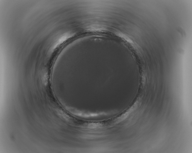 X0000114521306200911091142