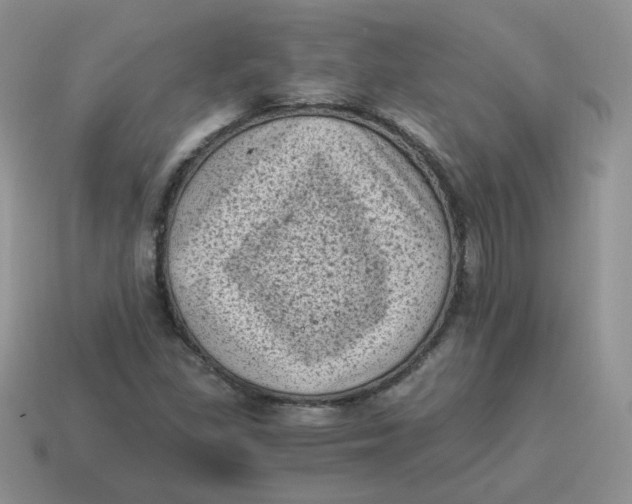 X0000114521309200911091142