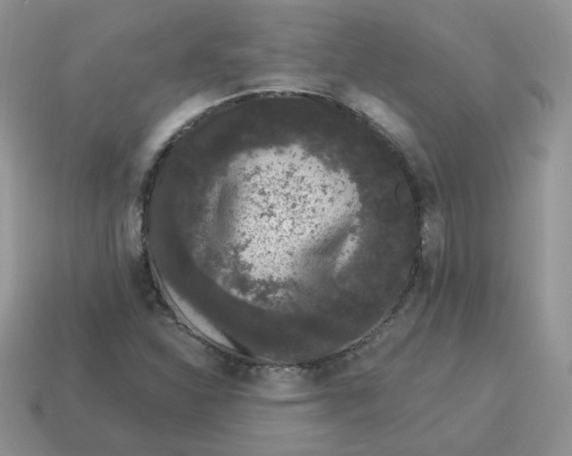 X0000114521310200911091142