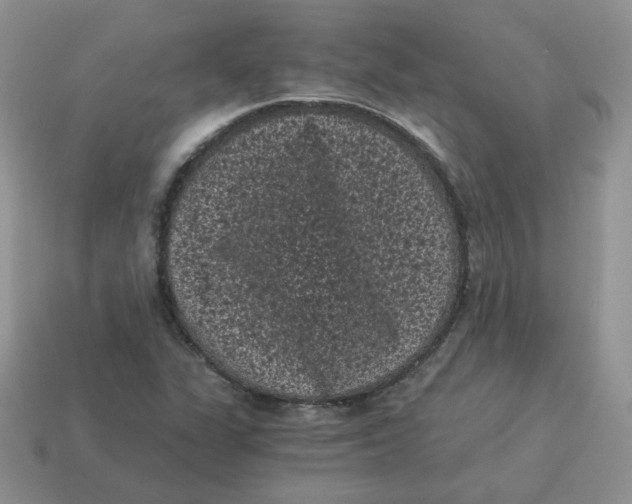 X0000114521311200911091142