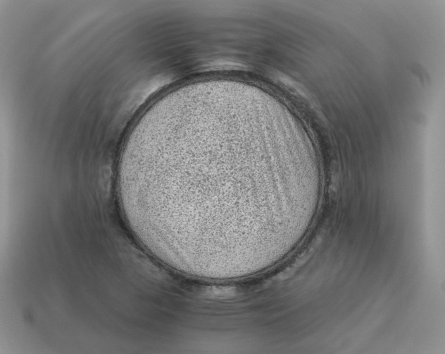 X0000114521313200911091142