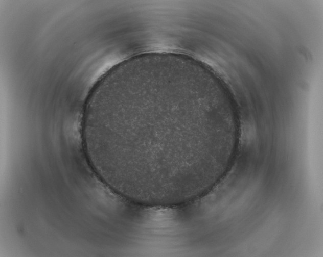 X0000114521314200911091142