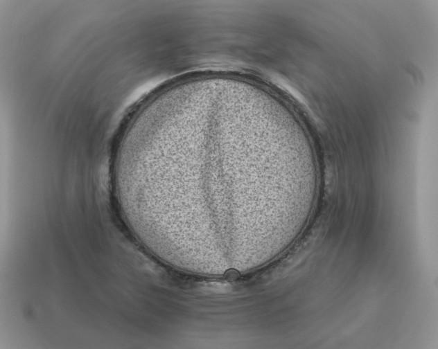 X0000114521315200911091142