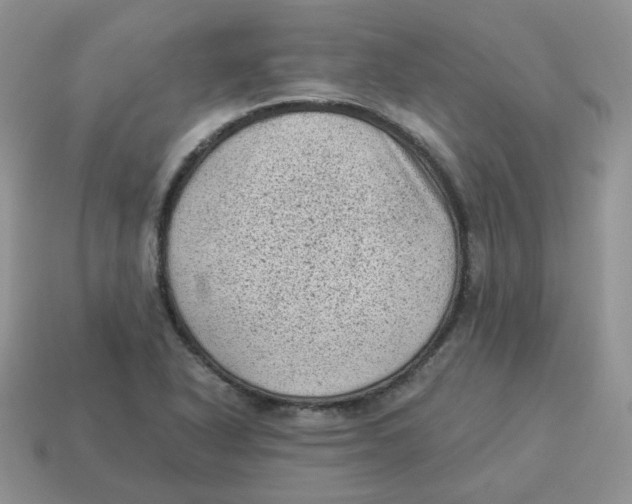 X0000114521318200911091142