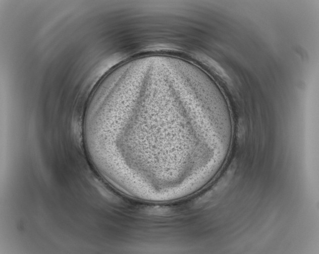 X0000114521321200911091142