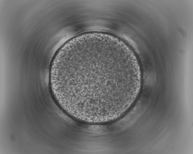 X0000114521322200911091142