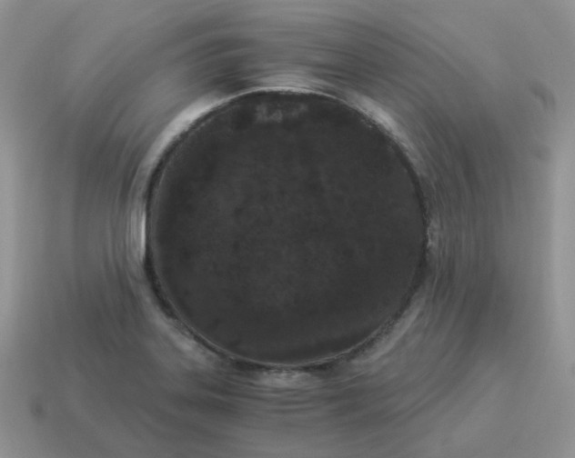 X0000114521323200911091142