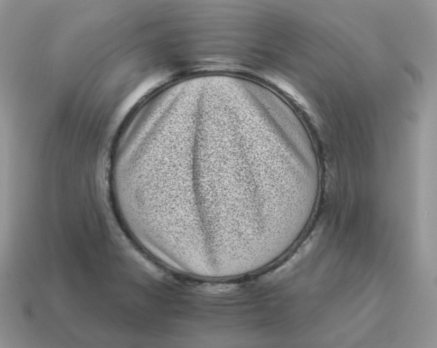 X0000114521325200911091142