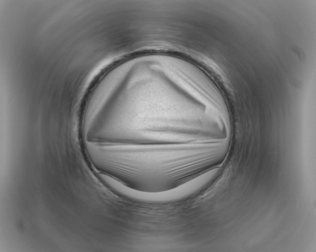 X0000114521326200911091142