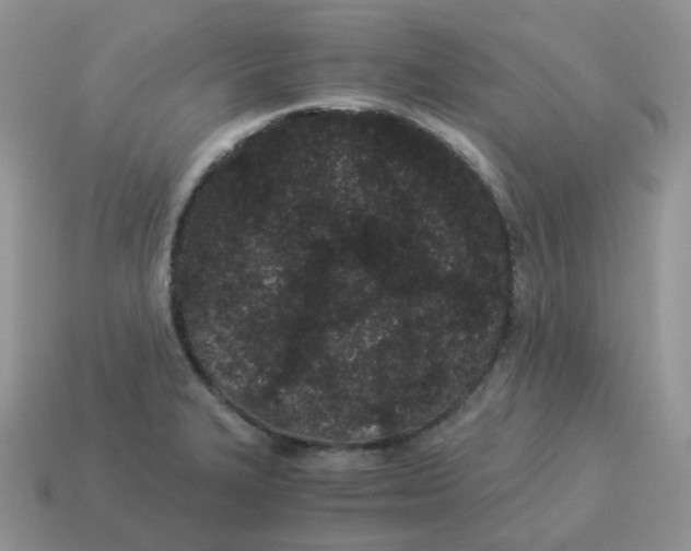 X0000114521327200911091142