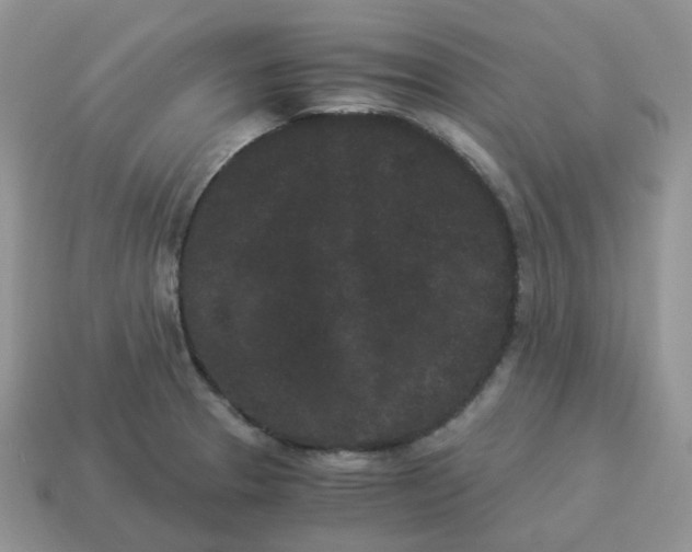 X0000114521329200911091142