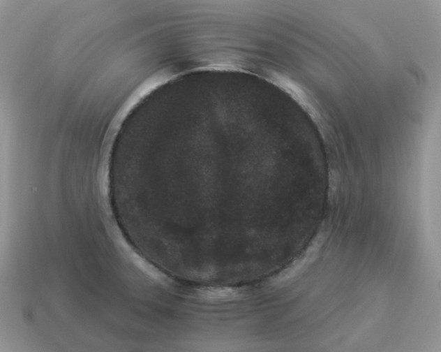 X0000114521331200911091142