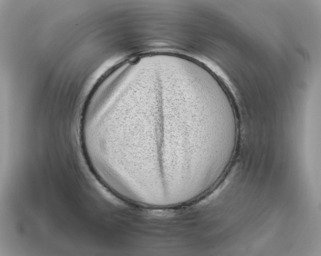 X0000114521333200911091142