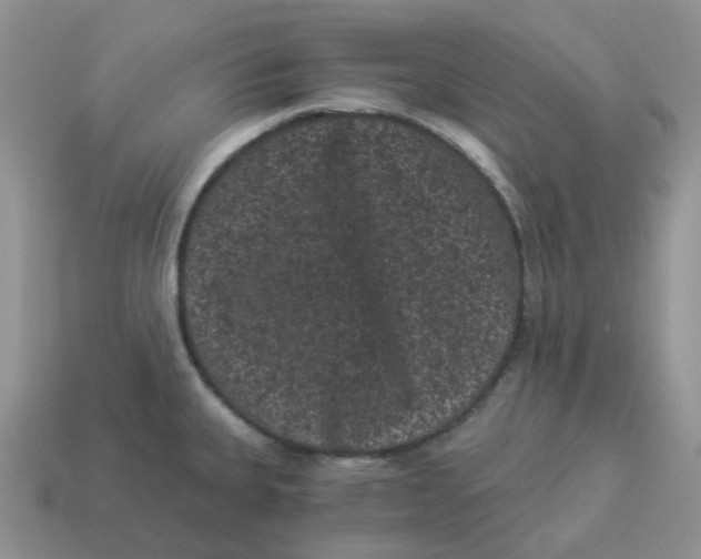 X0000114521335200911091142