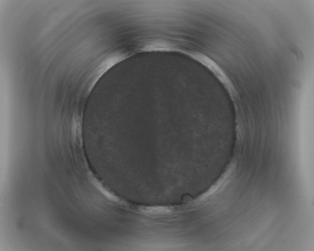 X0000114521337200911091142