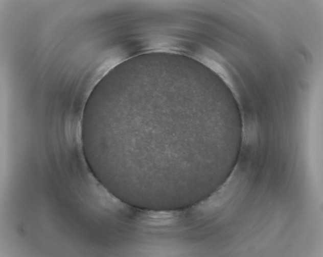 X0000114521338200911091142