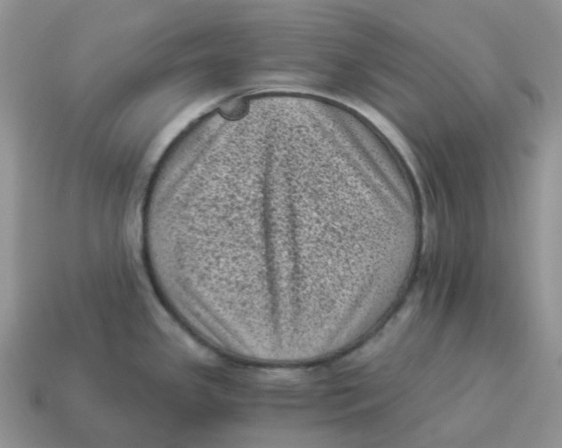 X0000114521341200911091142