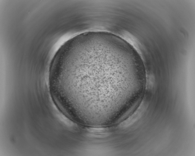 X0000114521342200911091142