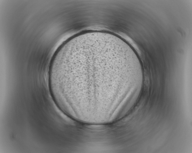 X0000114521343200911091142