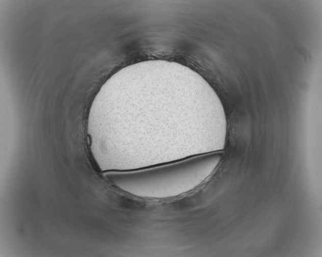 X0000114521345200911091142